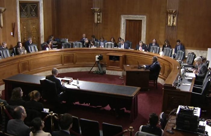 Screenshot of Senate Energy Committee Hearing, 2023.02.02 (Public Domain)